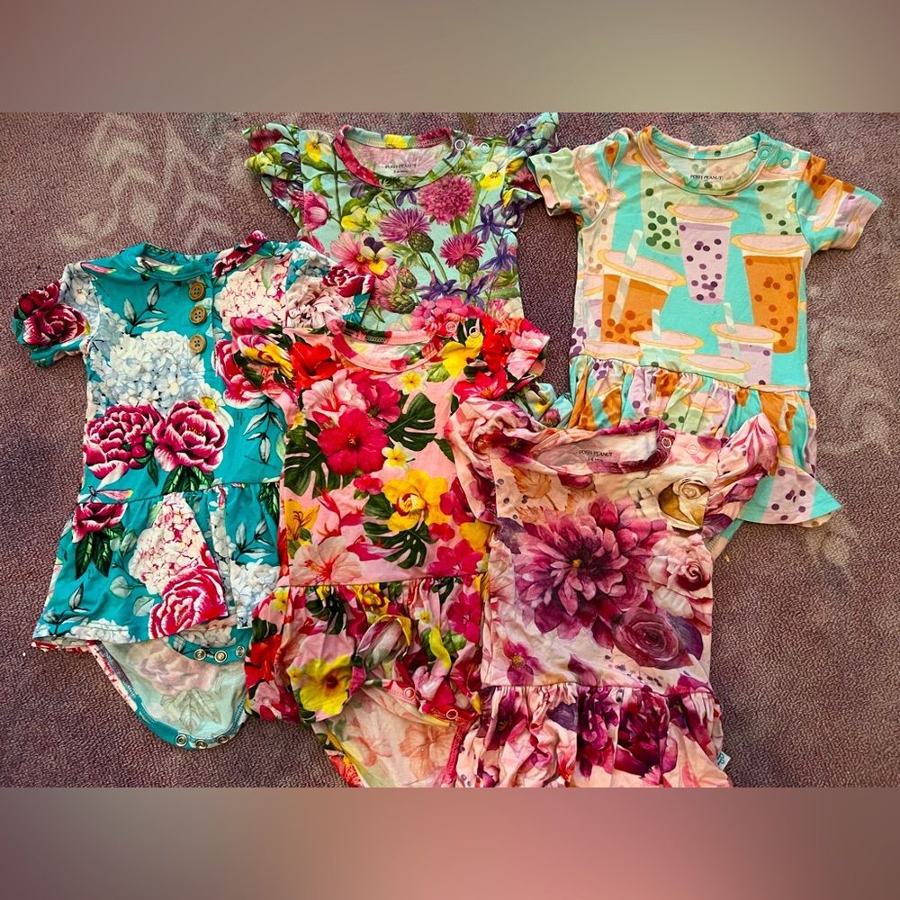Posh peanut twirl bodysuits, 5 piece bundle!